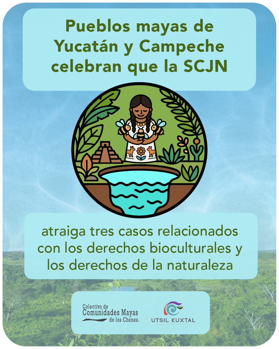 Pueblos mayas de Yucatán y Campeche celebran que la SCJN atraiga tres casos relacionados con los derechos bioculturales y los derechos de la naturaleza