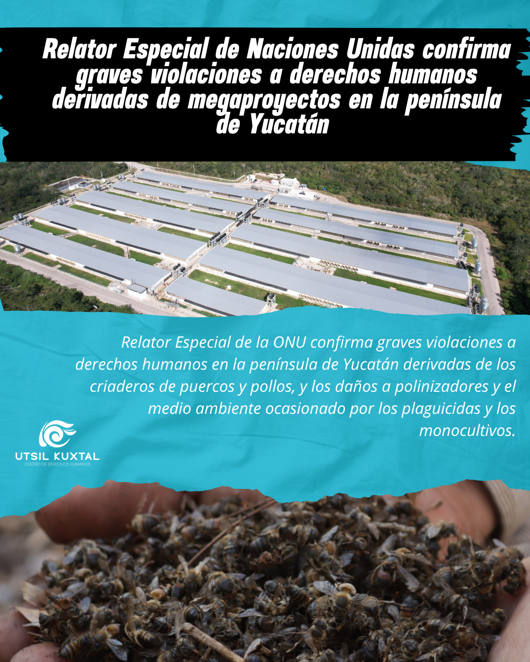 Relator Especial de Naciones Unidas confirma graves violaciones a derechos humanos derivadas de megaproyectos en la península de Yucatán